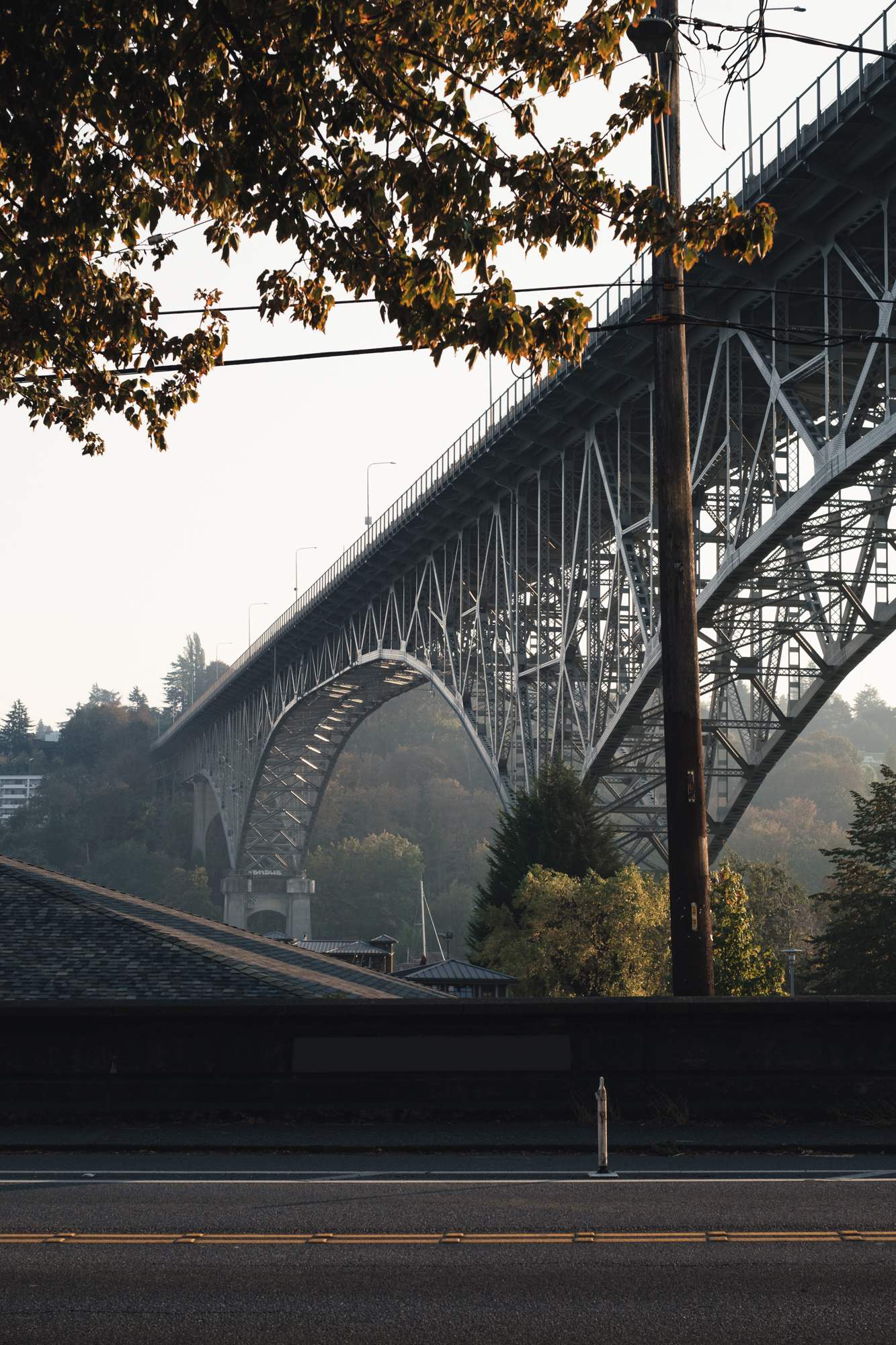 Aurora Bridge