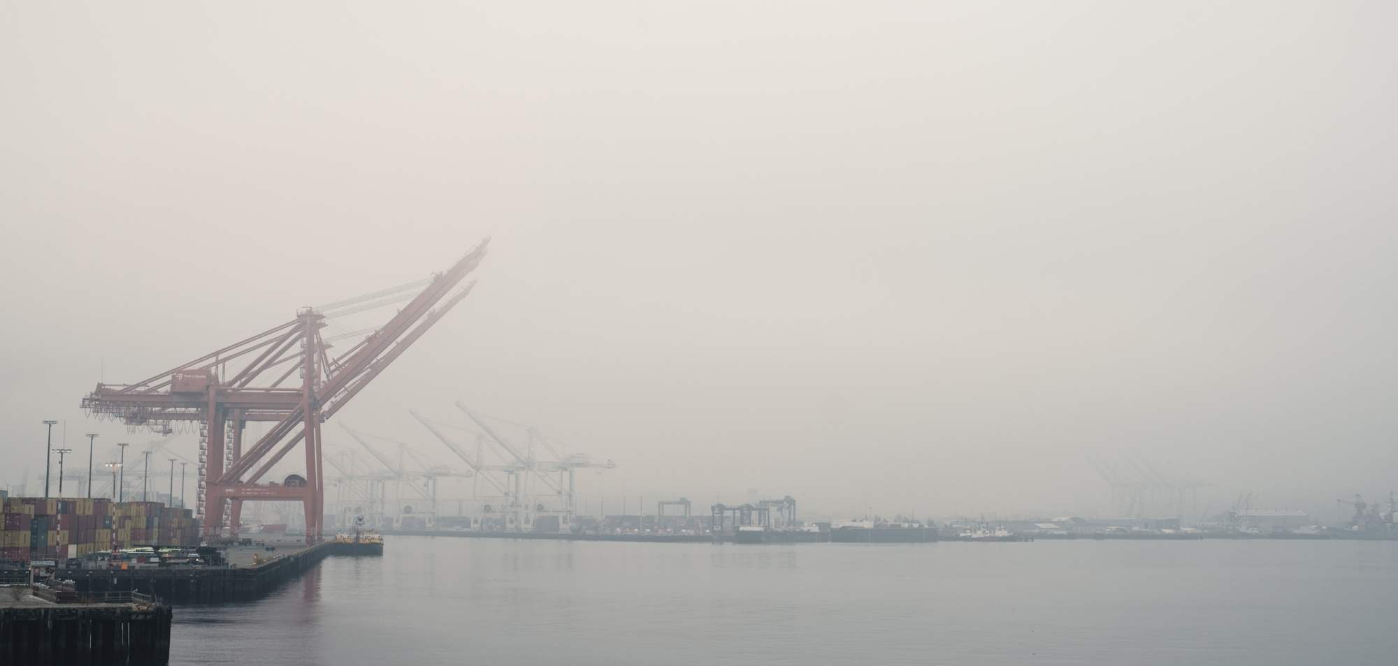 Pier 46 in Fog