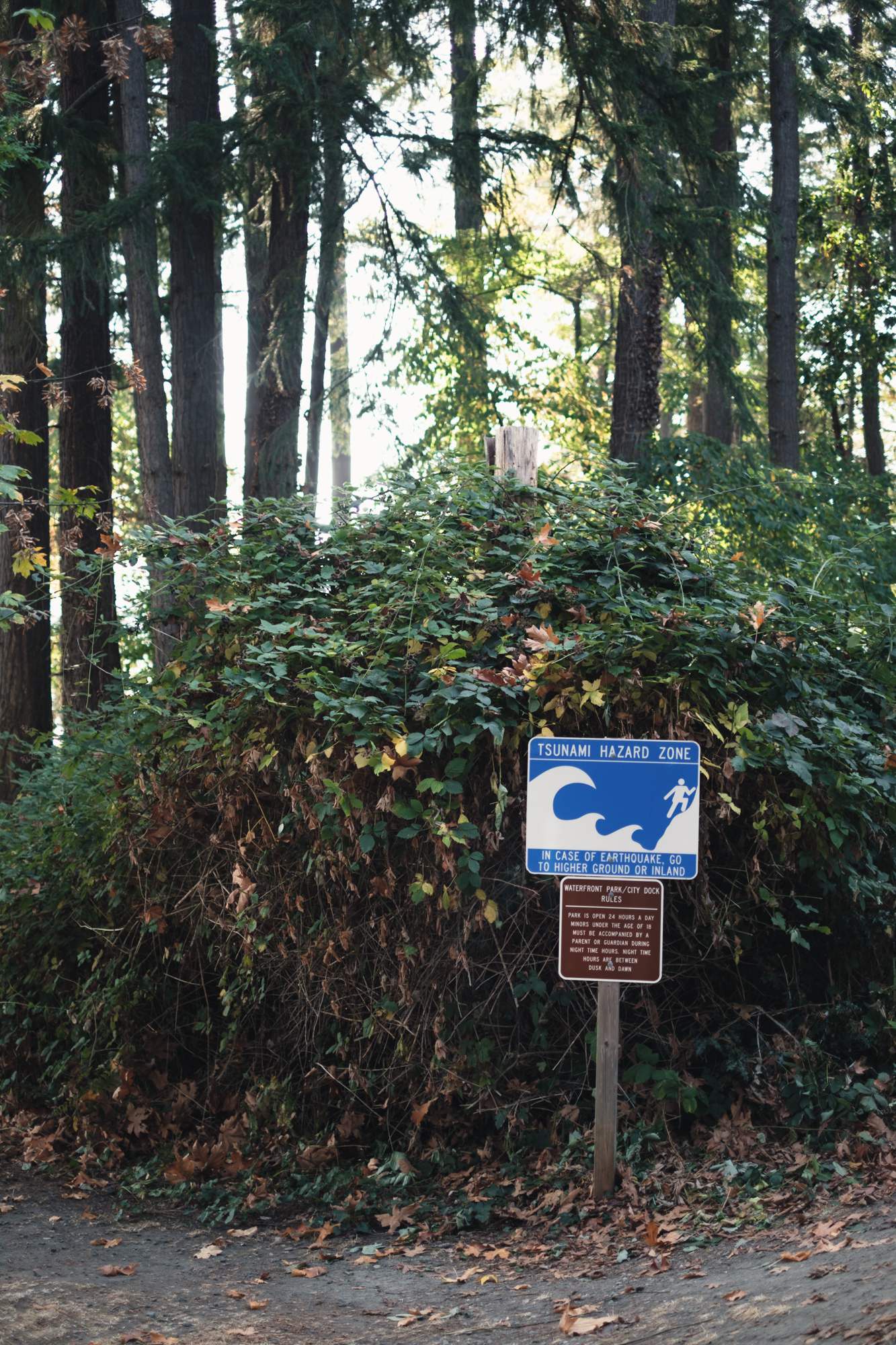 Tsunami Hazard Zone Sign