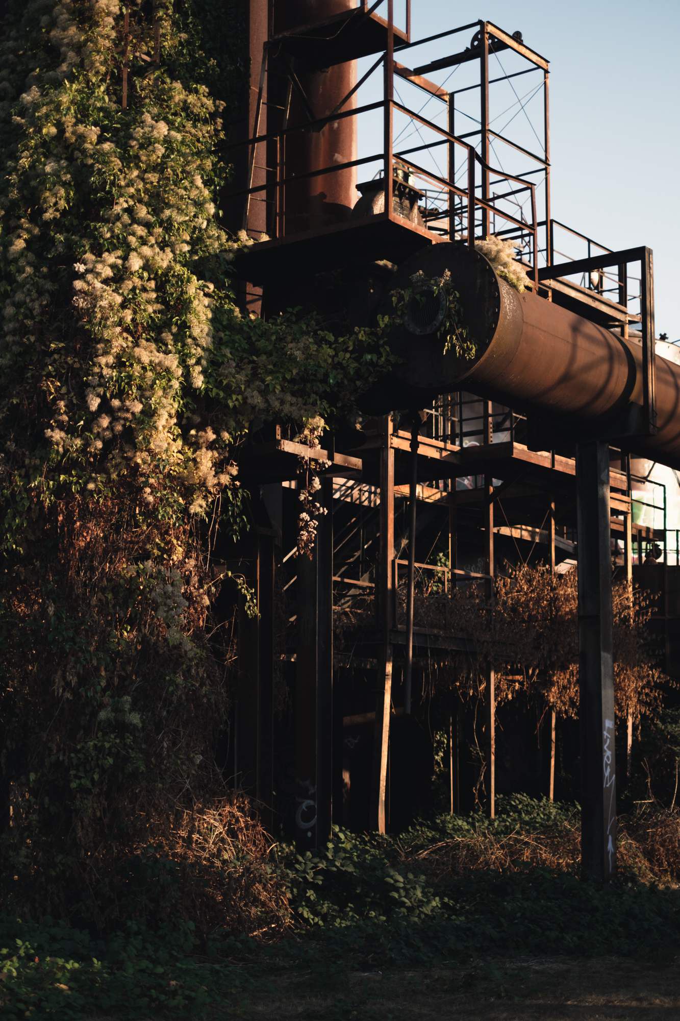 Gas Works Park Detail