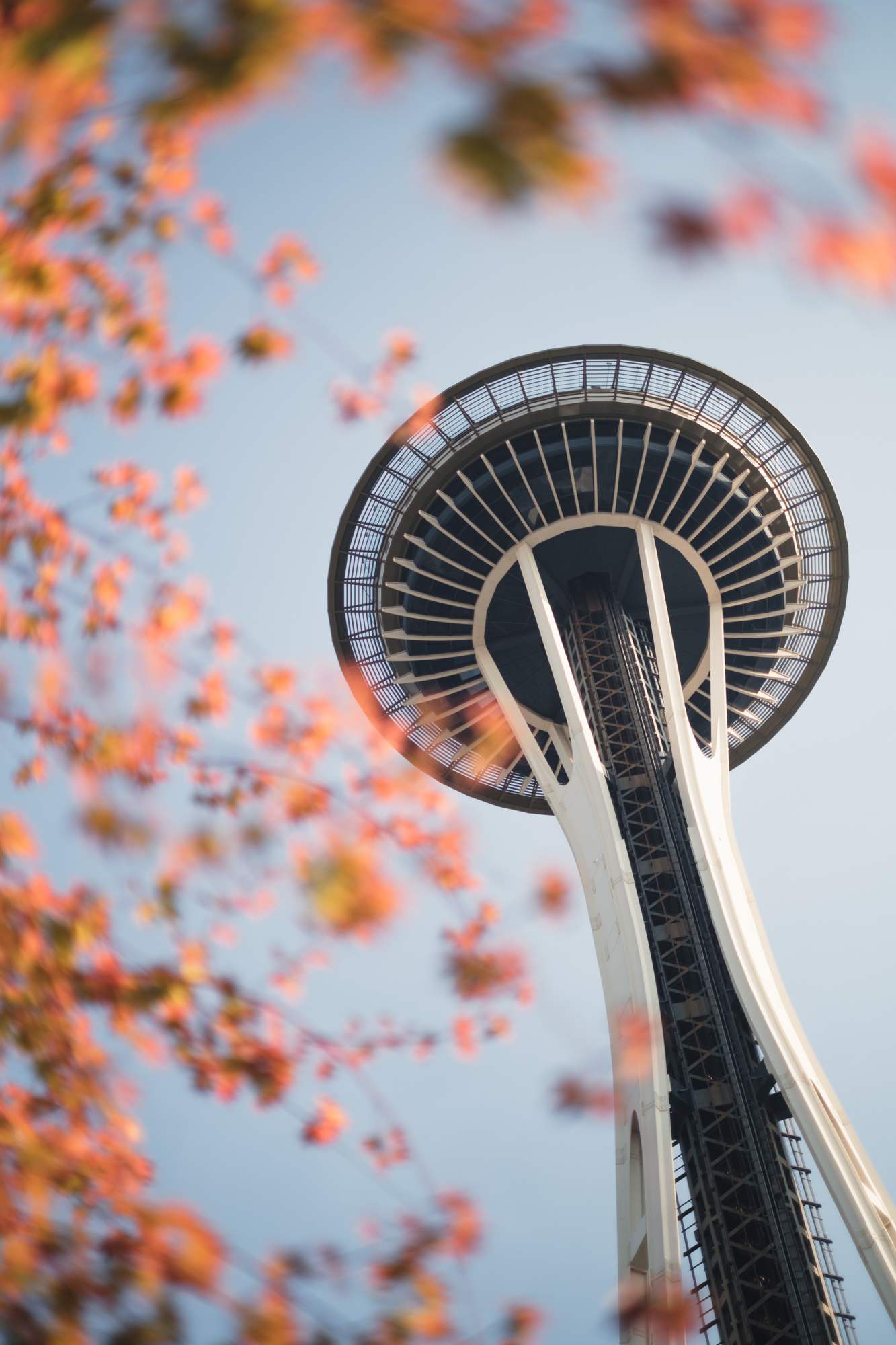 Space Needle with Fall Leaves