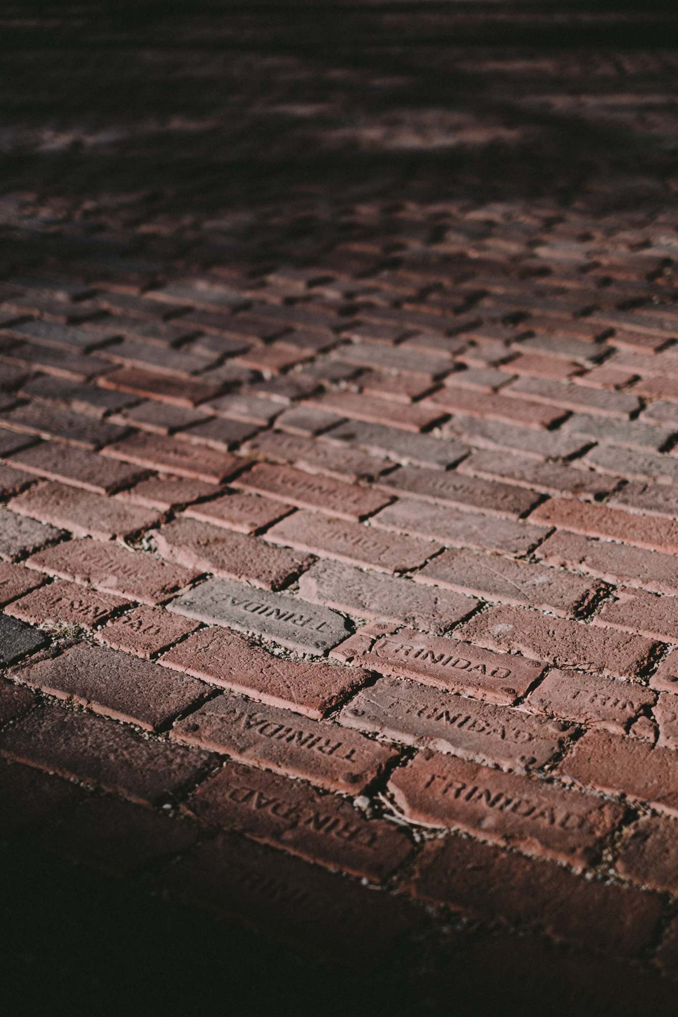 Trinidad Bricks
