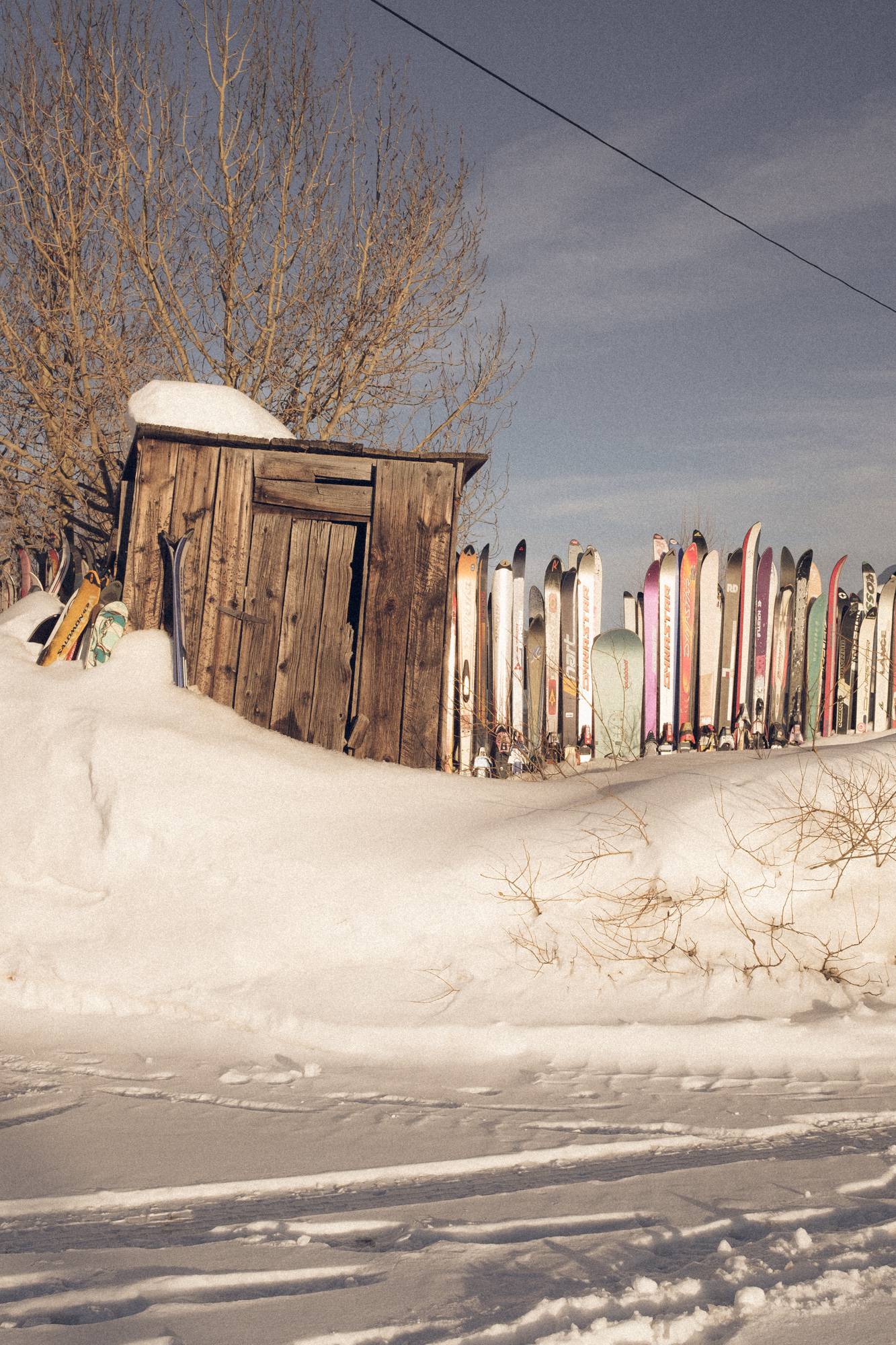 Fraser Ski Fence