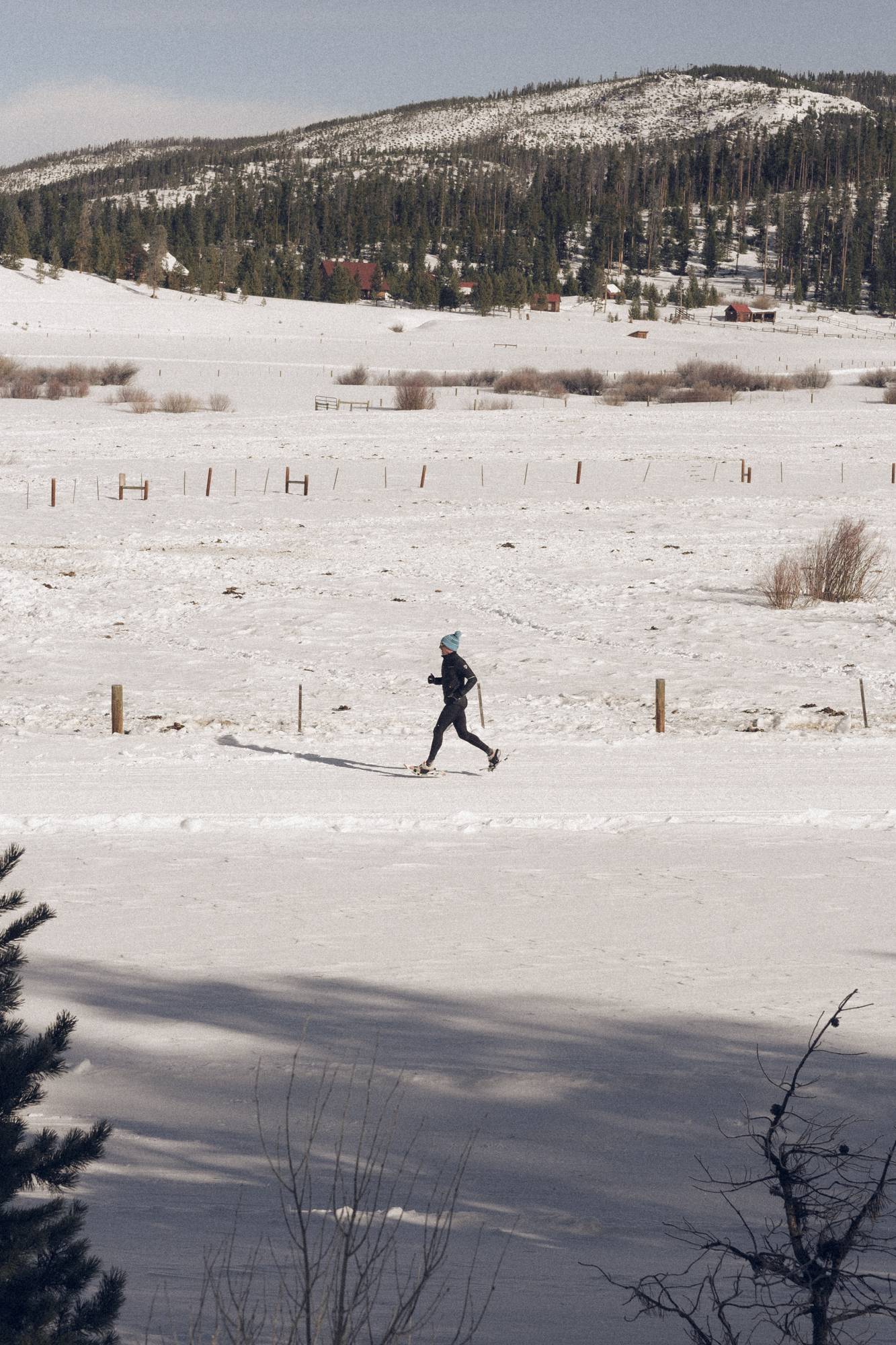 Trail Runner