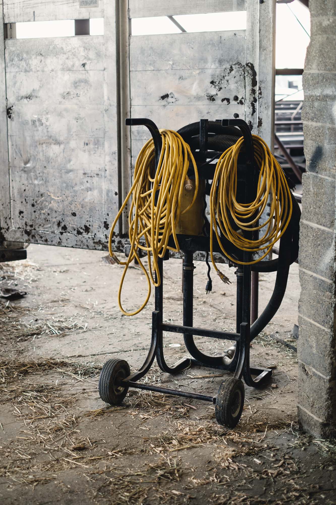 Electrical Cords on a Dolly
