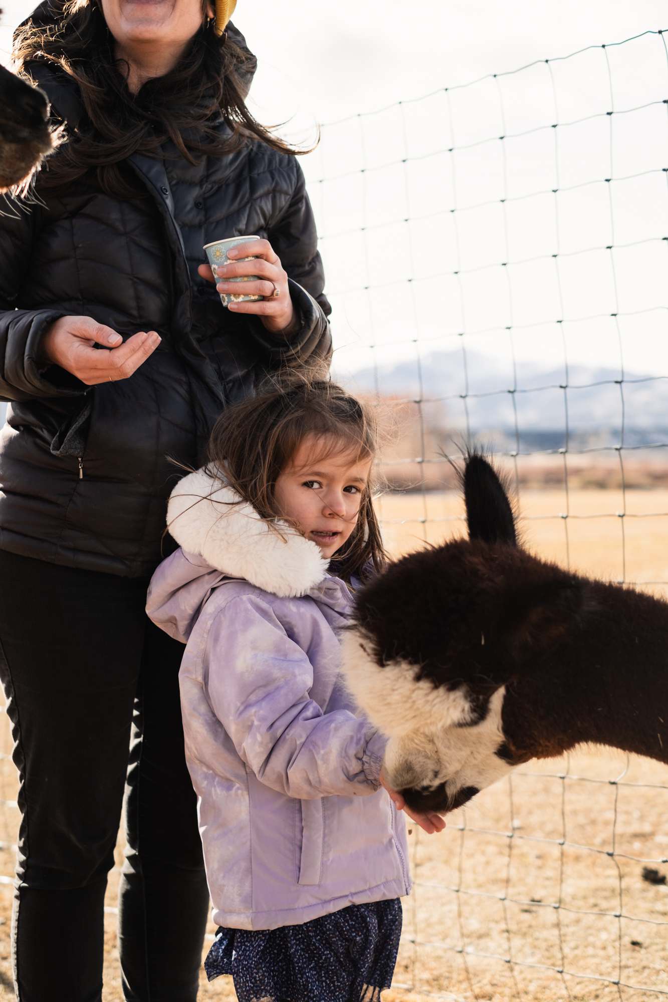 Hallmark Ranch Alpacas