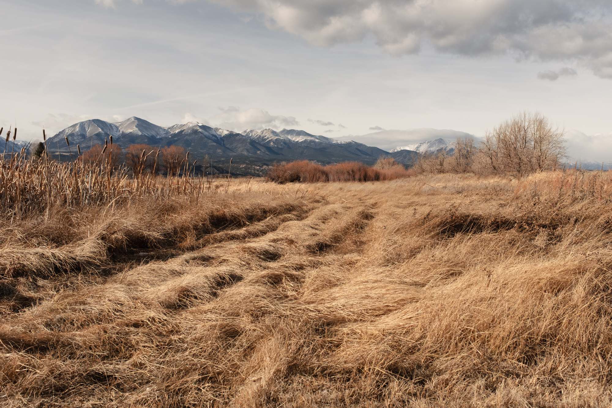 Collegiate Peaks