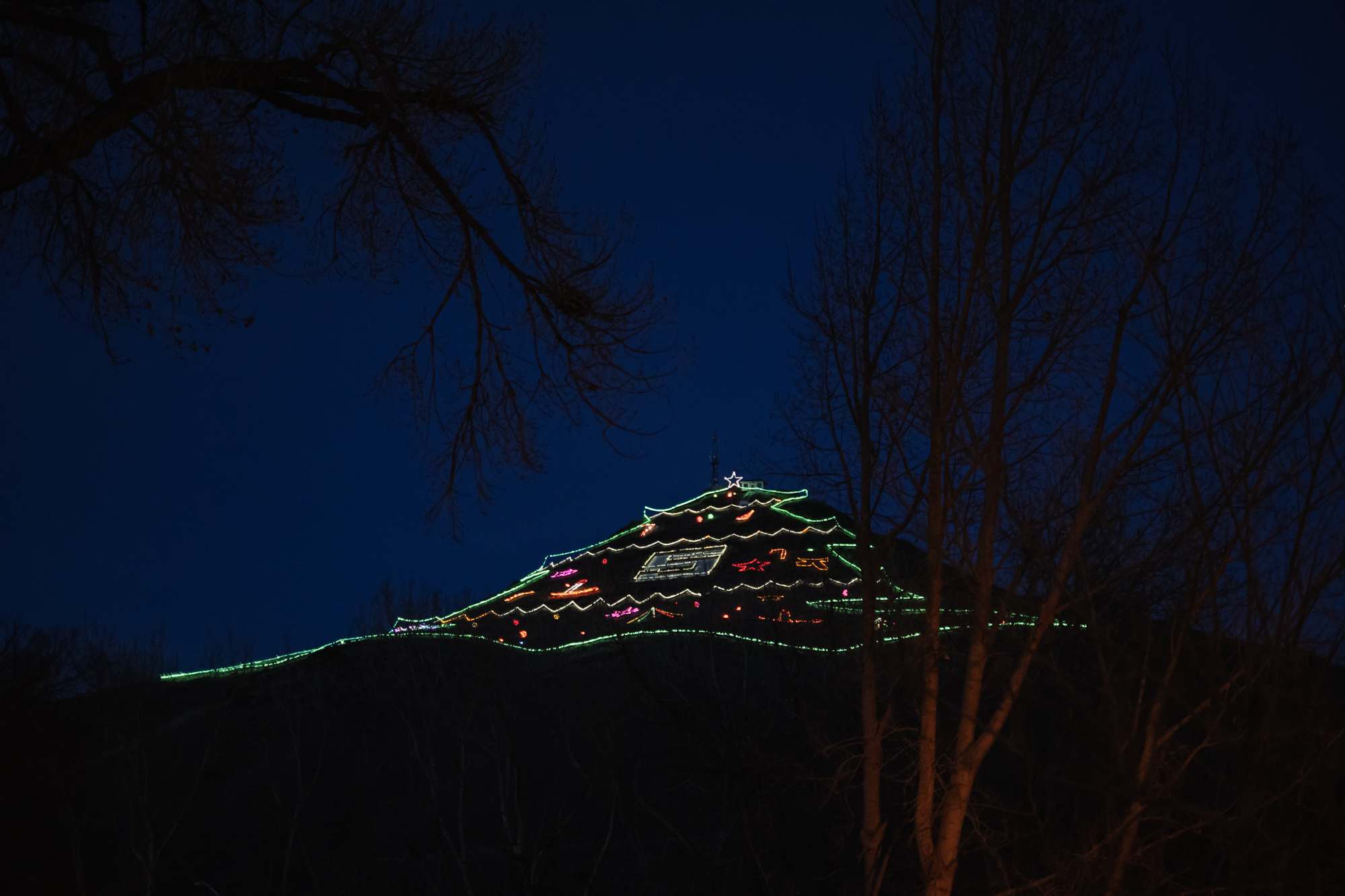 Salida Christmas Tree