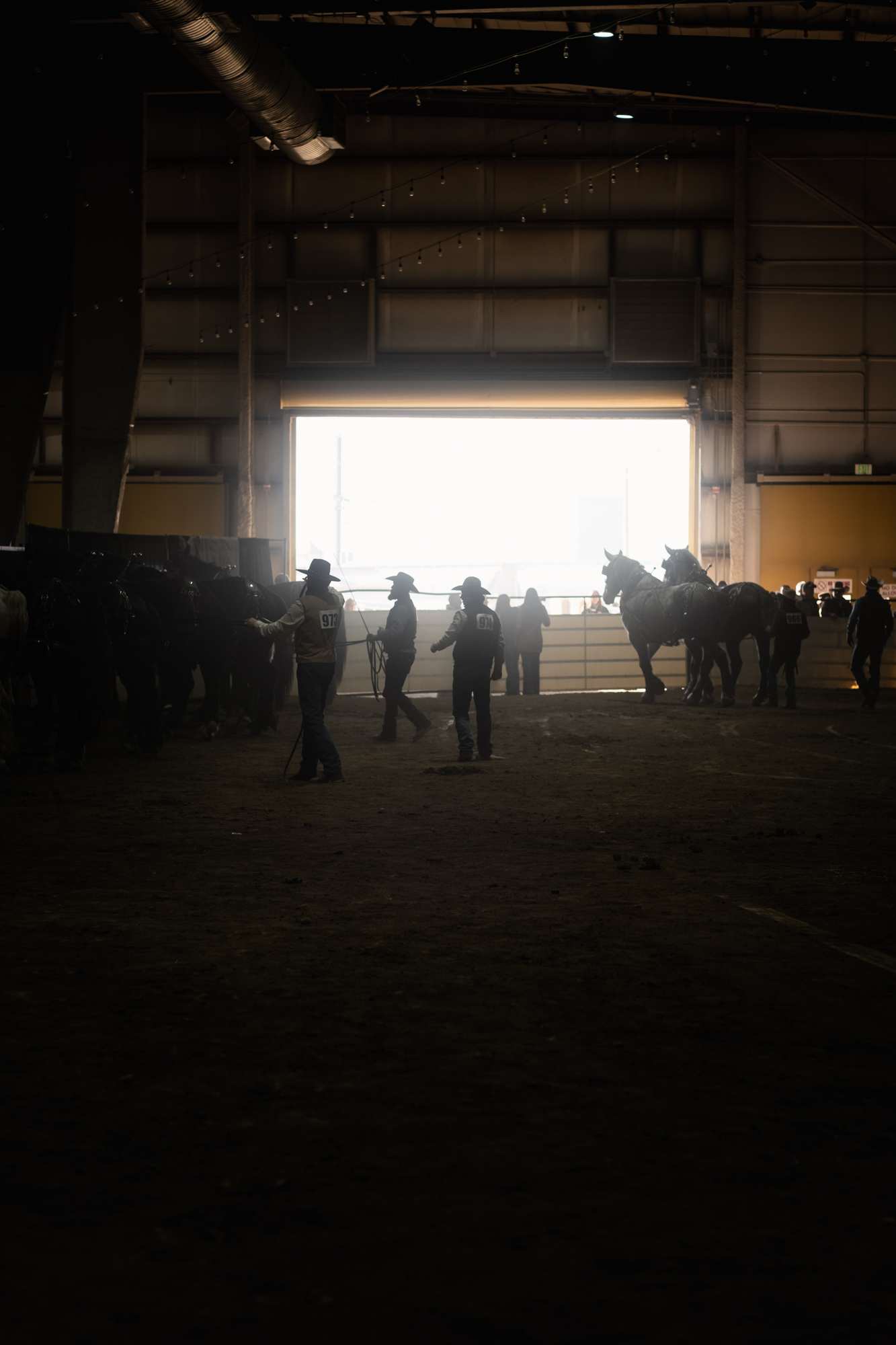 Clydesdale Staging