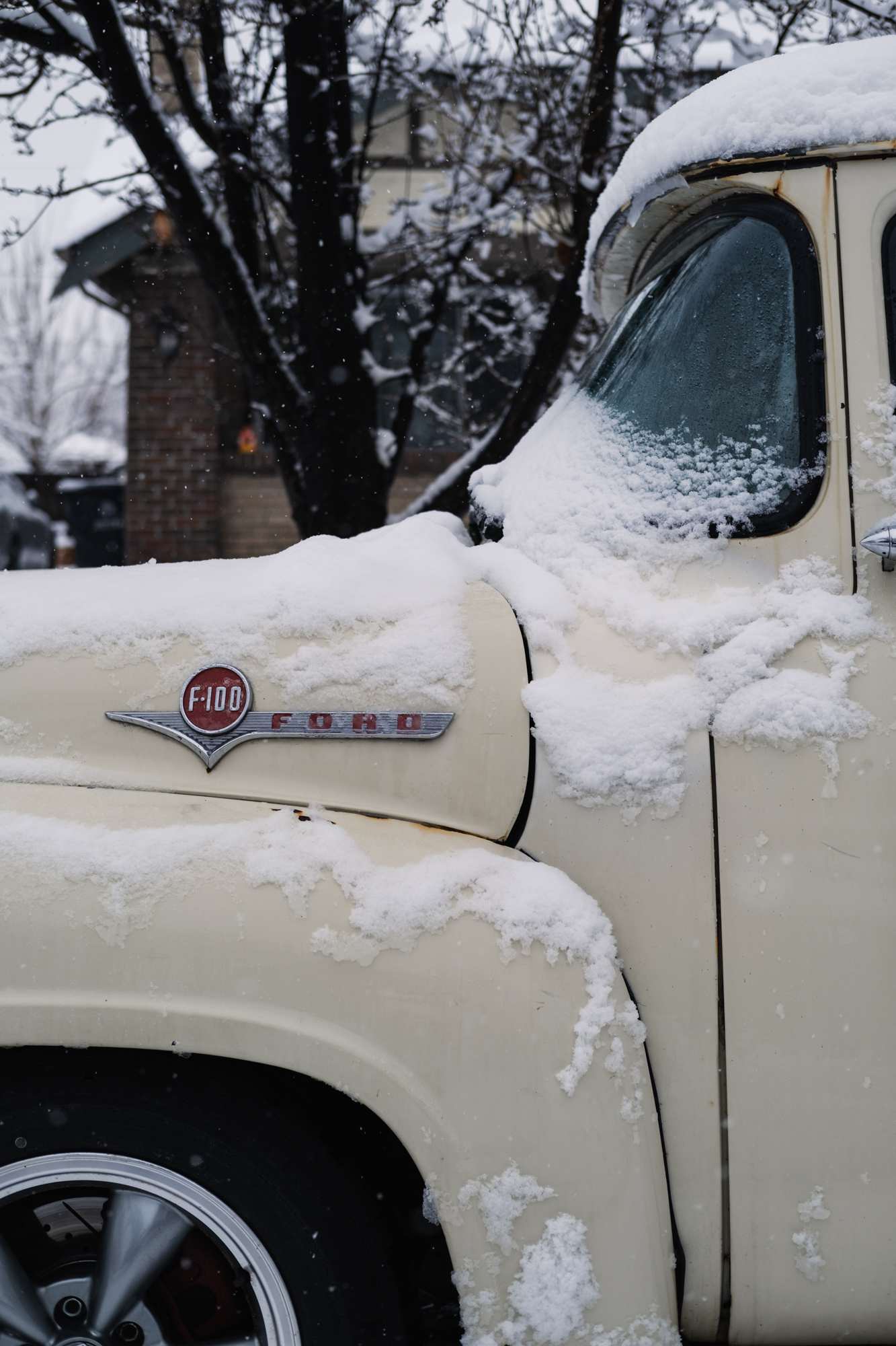 Ford F-100 Emblem