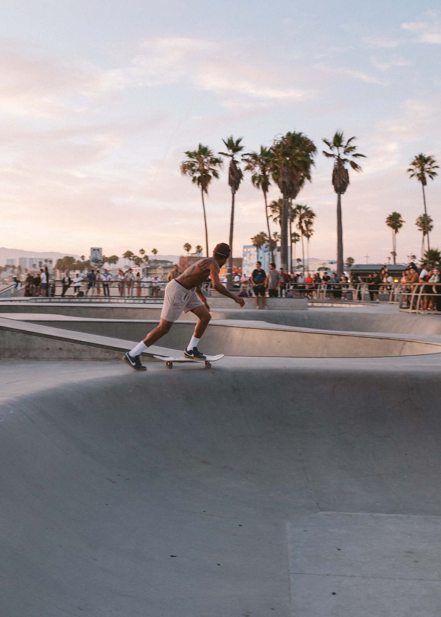 Skater at the Venice Skate Park