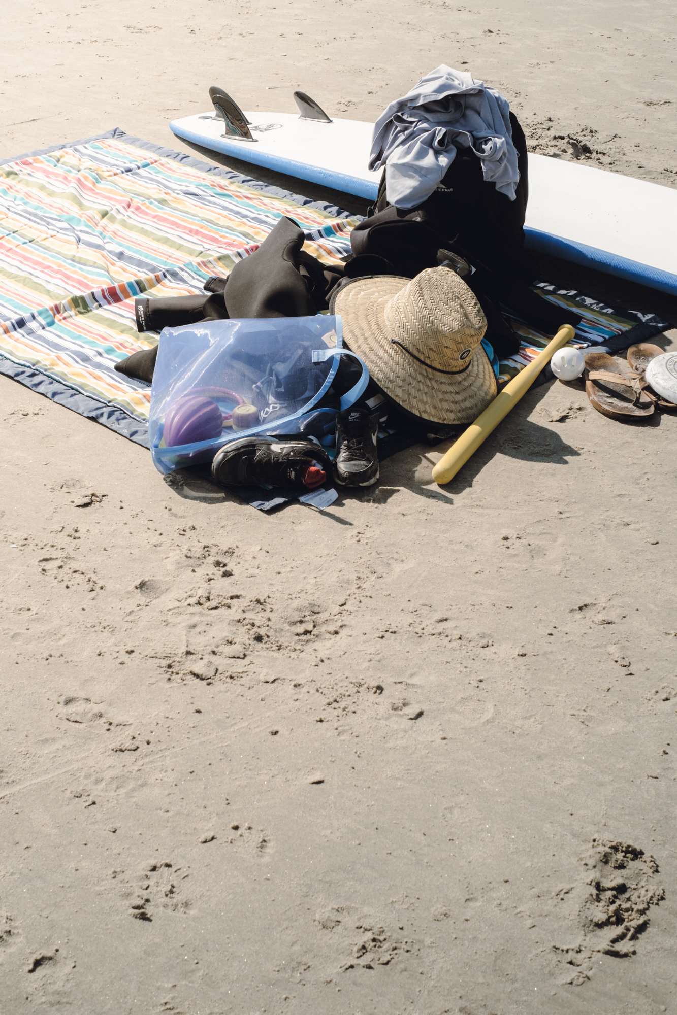 Beach Essentials, Torrey Pines State Beach, CA