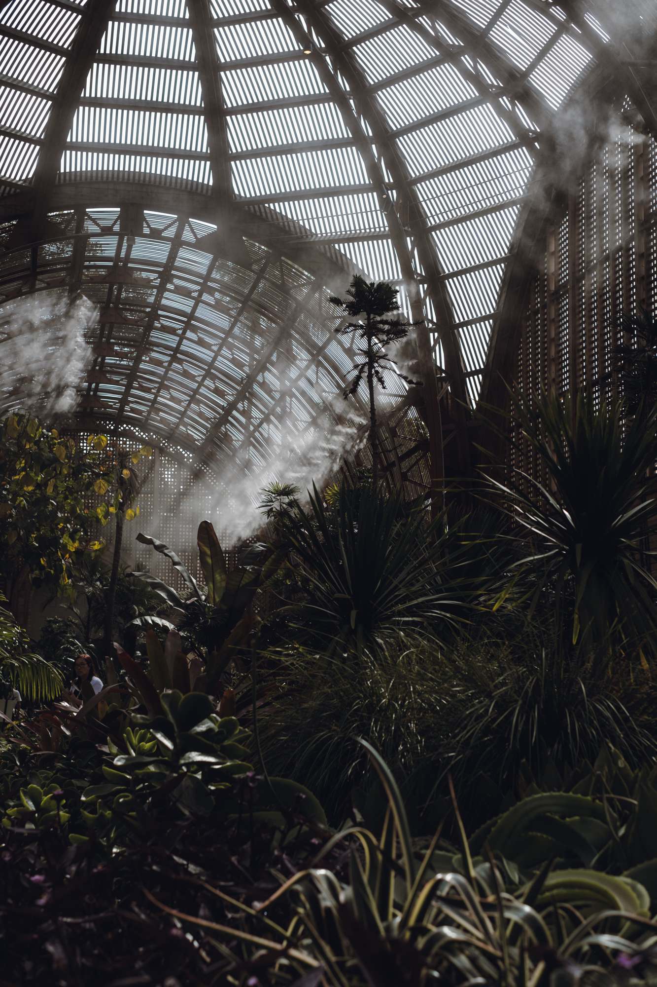 Mist Fills the Balboa Park Botanical Building