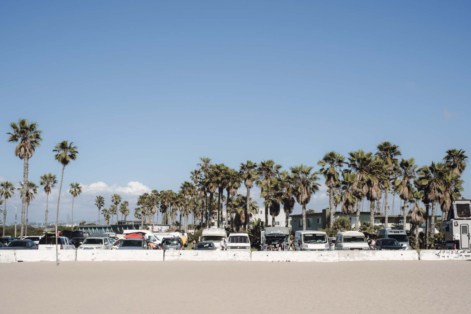 Parked Vehicles and Palm Trees