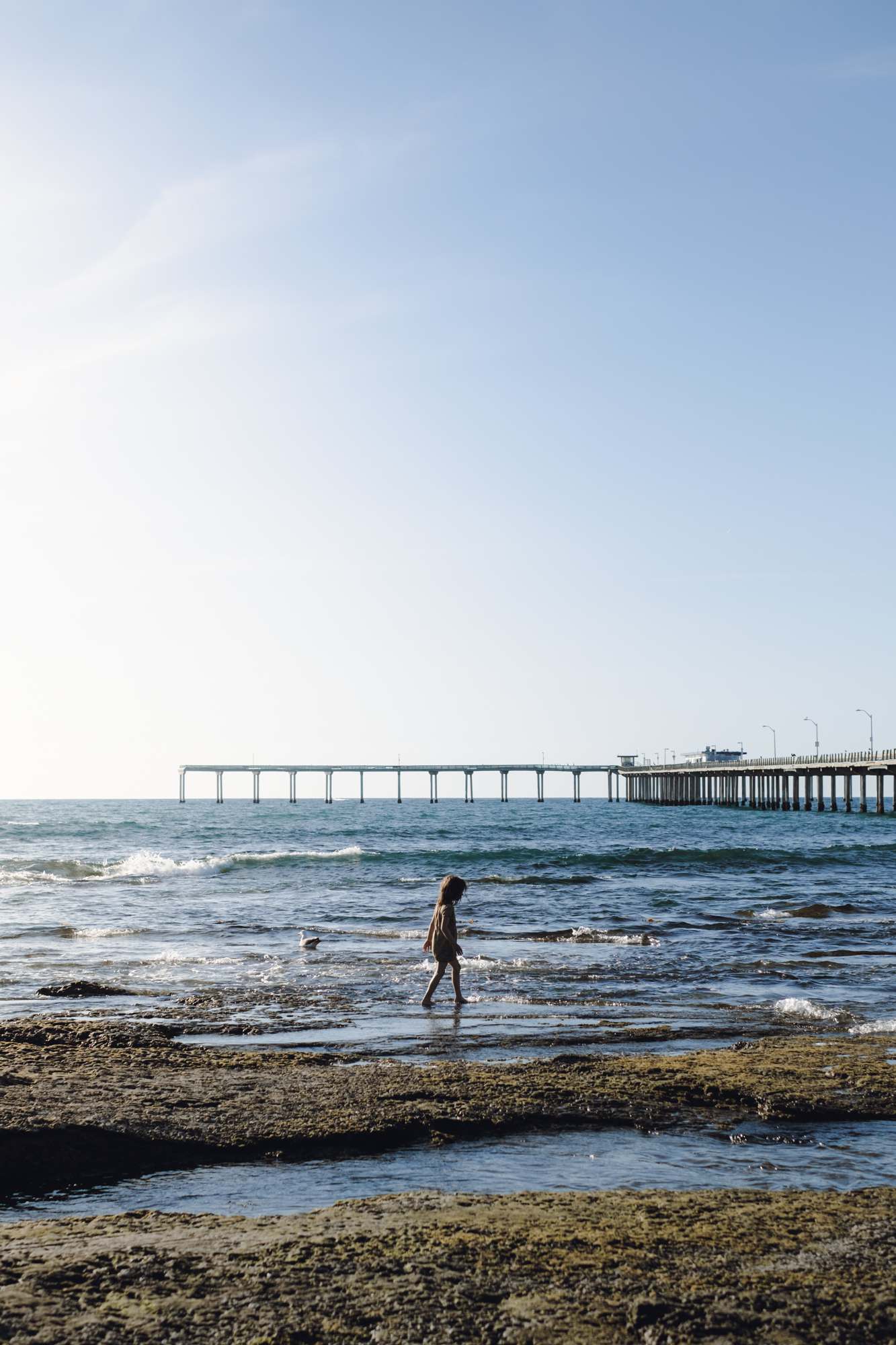 Exploring the Beach as the Tide Comes In