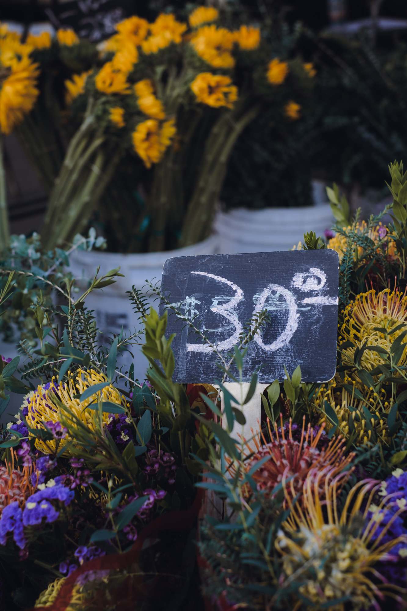 Flowers for Sale at the Ocean Beach Farmer’s Market