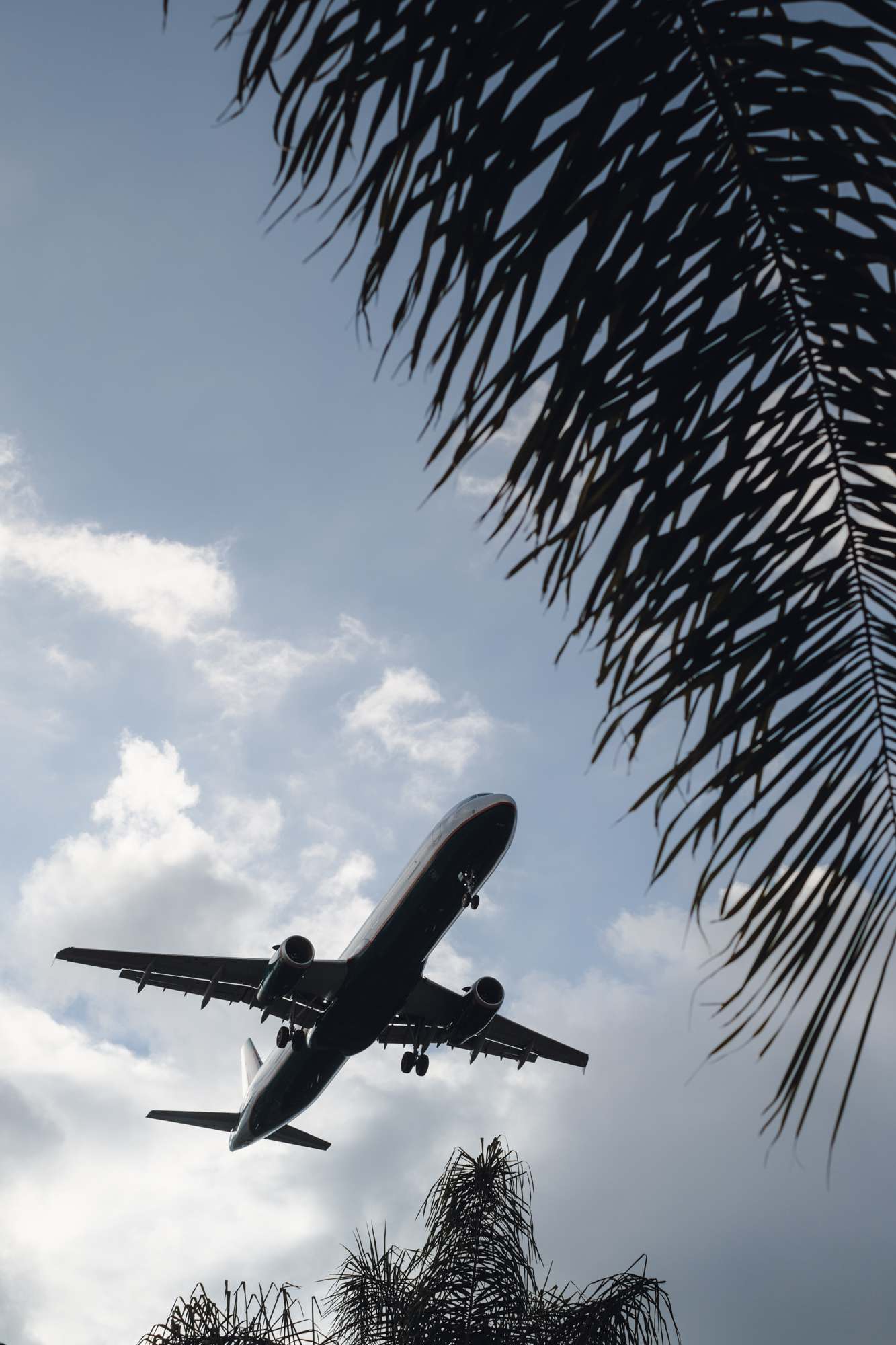 A Plane Landing in San Diego Flys Directly Overhead
