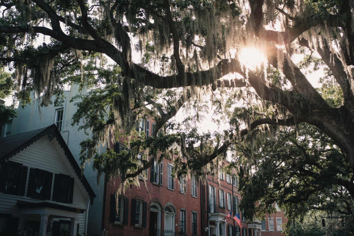 Sunset in Savannah - Savannah, Georgia - Fuji X100F