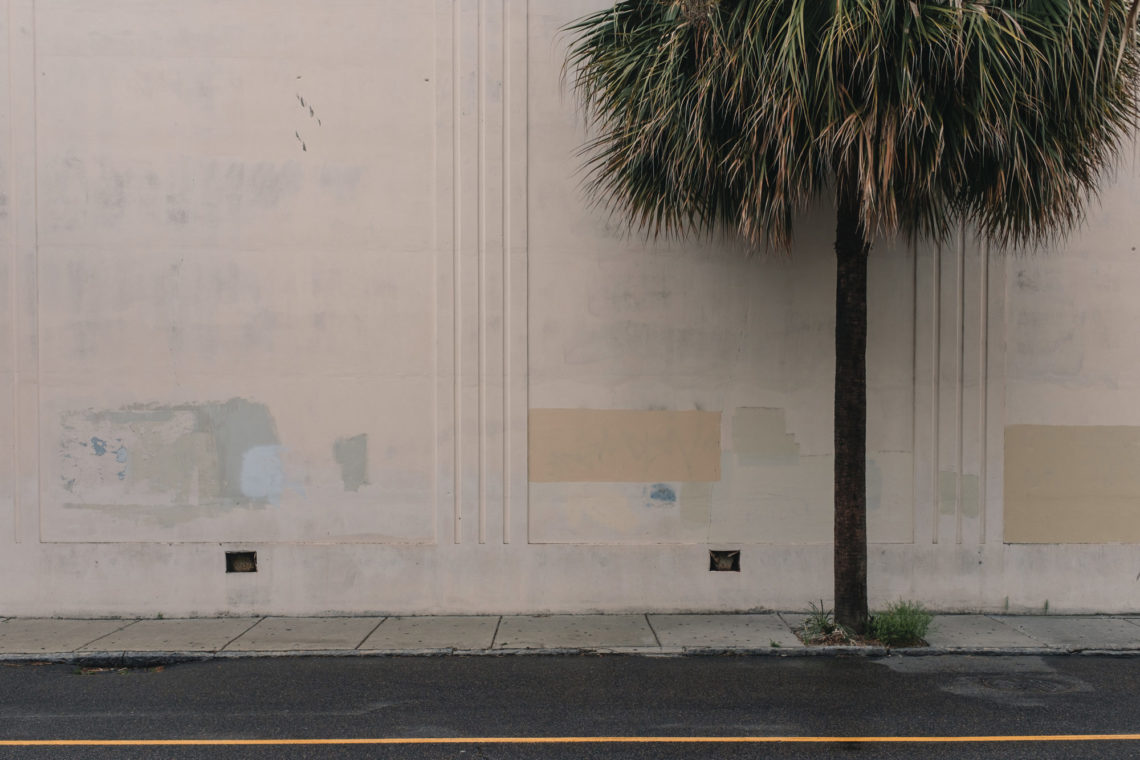 Charleston Palmetto - Charleston, South Carolina - Fuji X100F