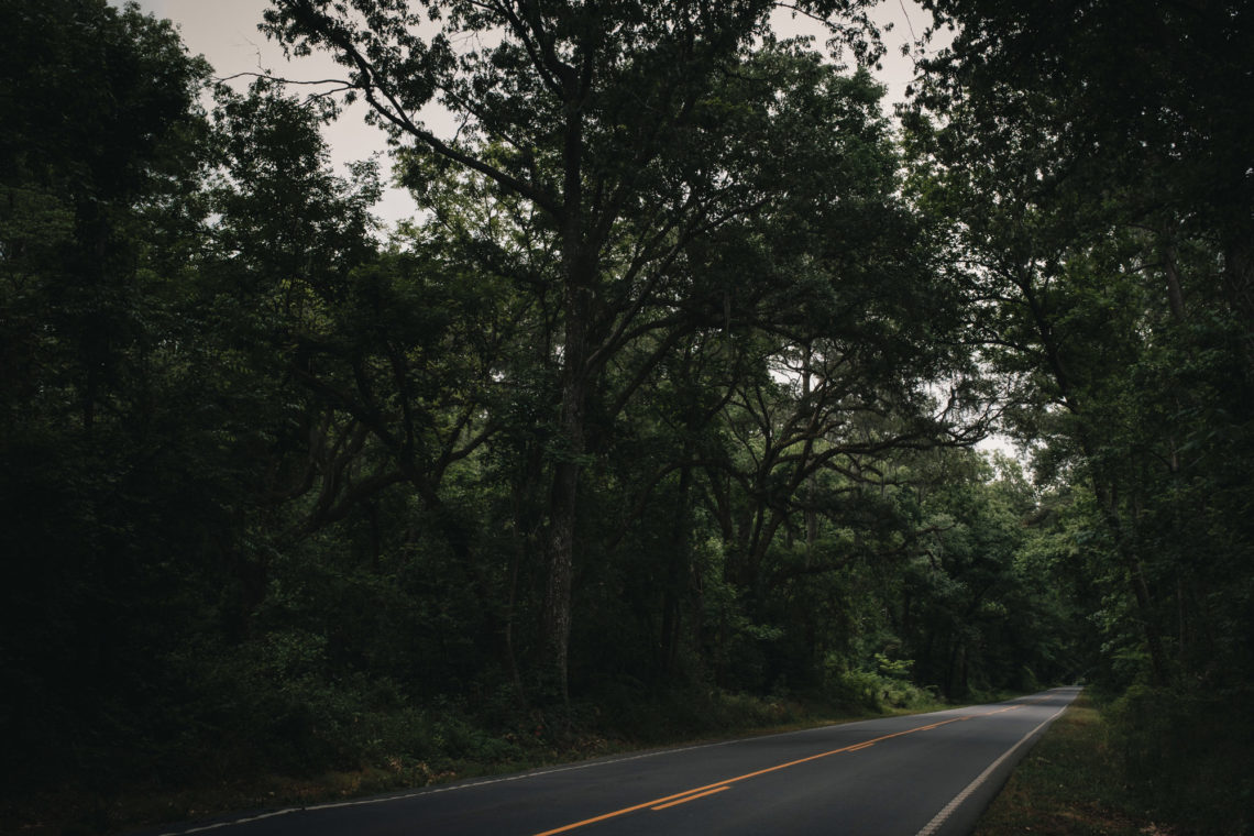 Old Sheldon Church Road - Yemassee, South Carolina - Fuji X100F