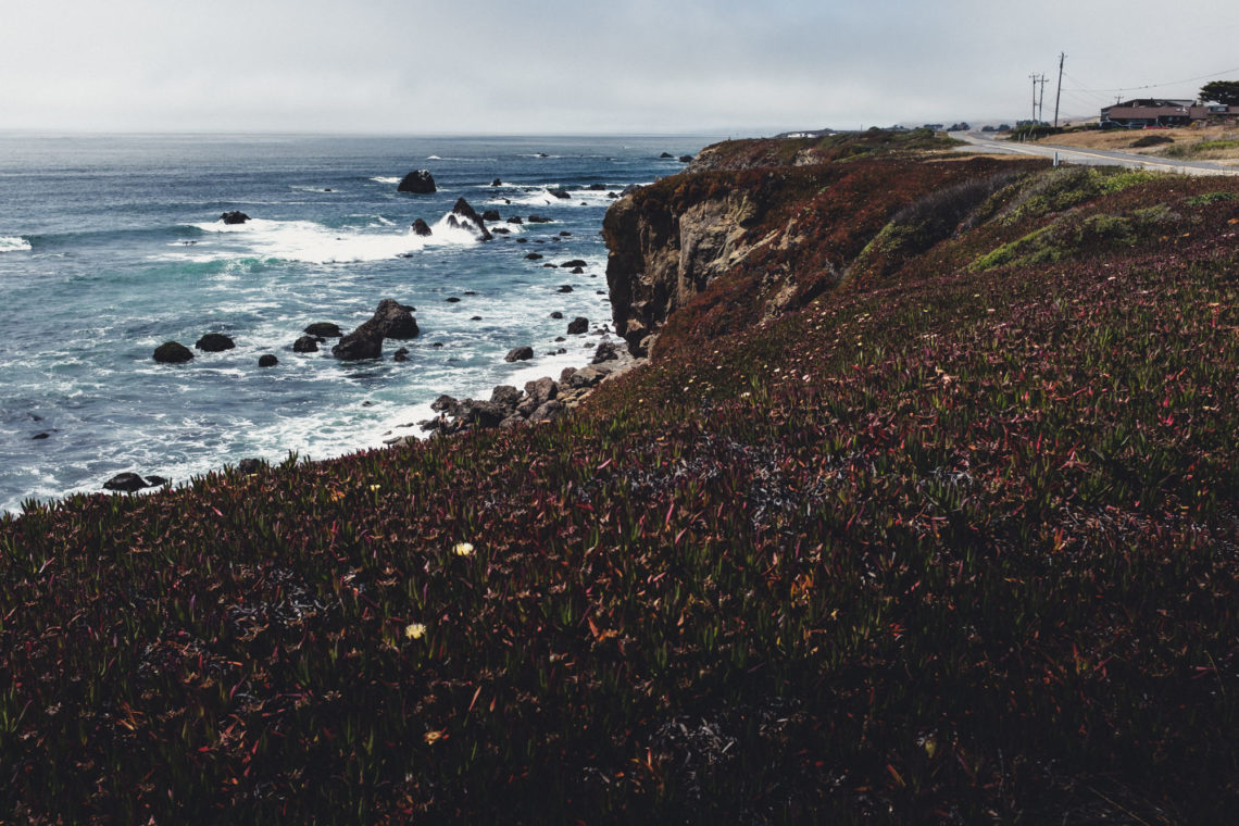 Carmet Beach - Bodega Bay, California - Fuji X100F