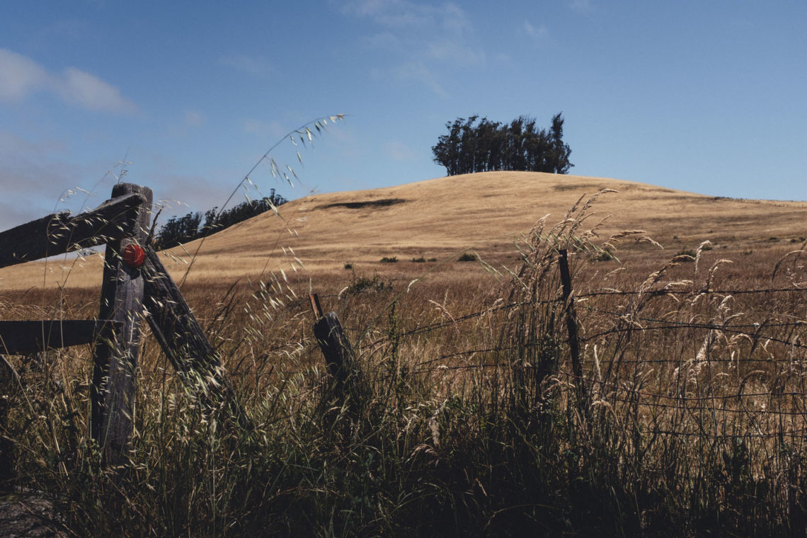 Fallon Two Rock Road - Petaluma, California - Fuji X100F