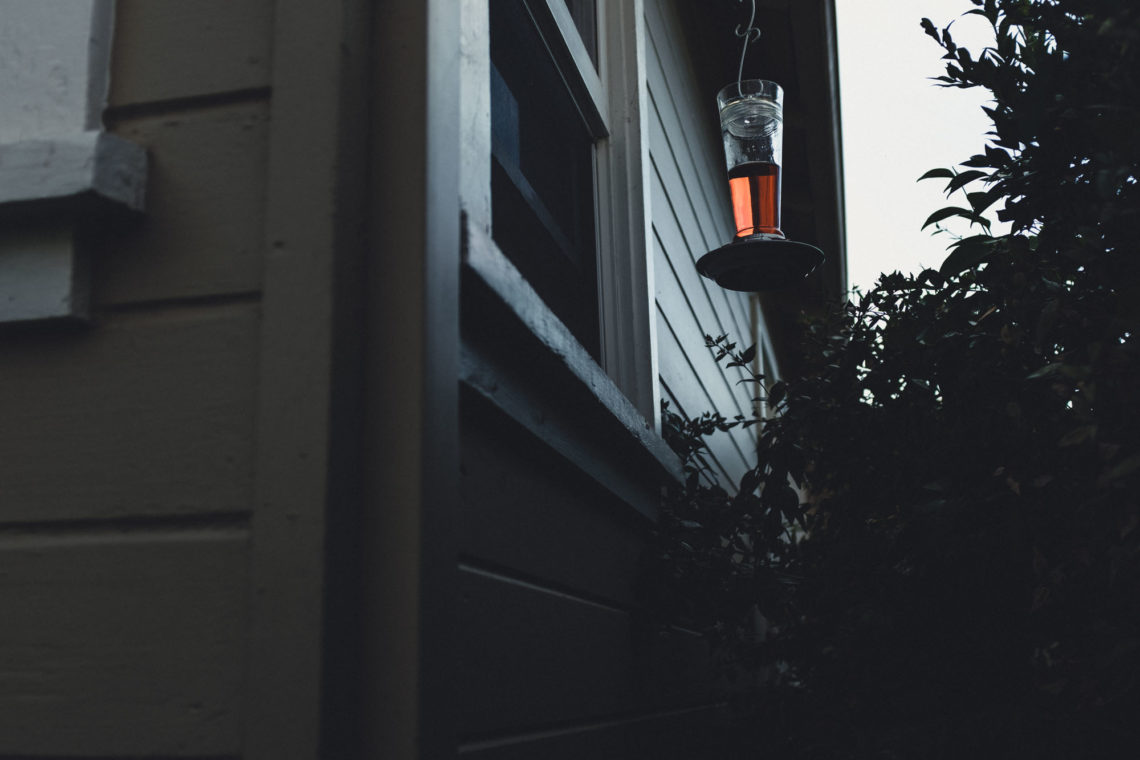 Hummingbird Feeder - Petaluma, California - Fuji X100F