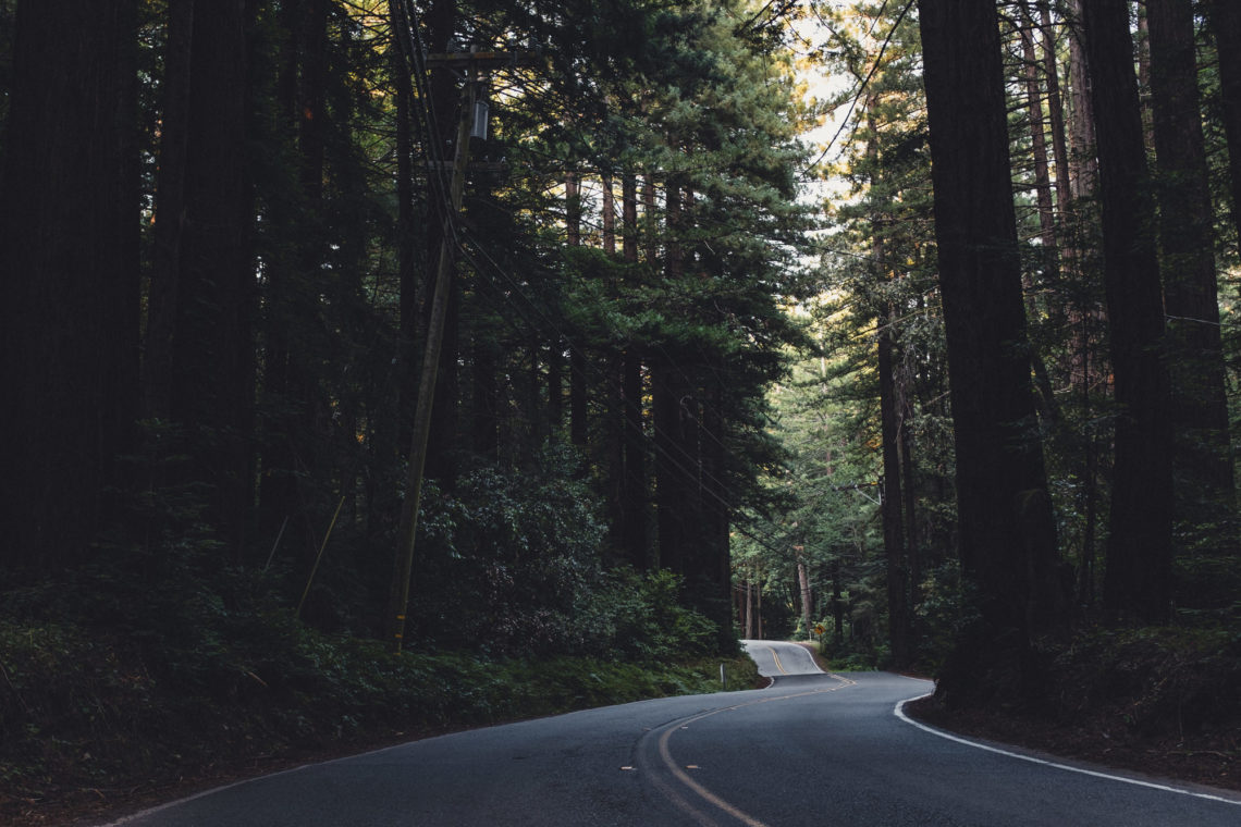 Lucas Valley Road - Nicasio, California - Fuji X100F