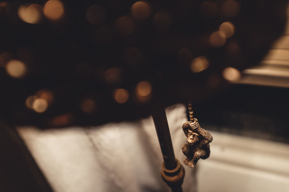 Monkey Light Switch - Petaluma, California - Fuji X100F