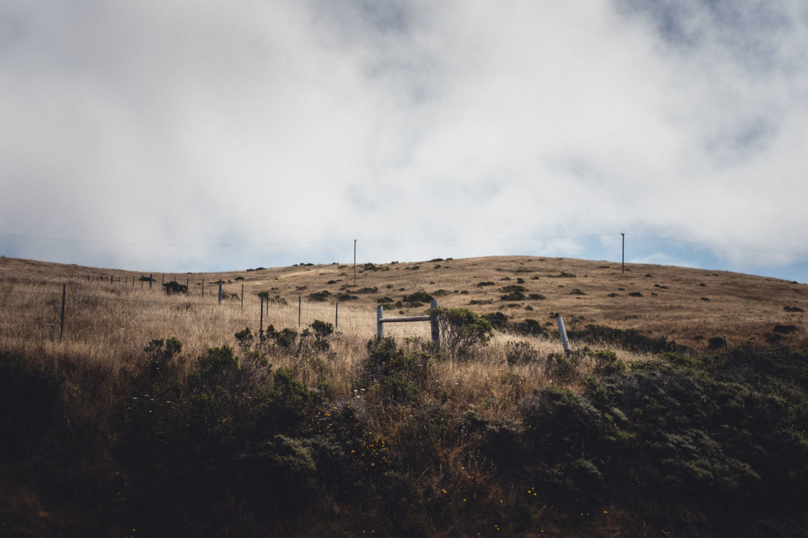 Shoreline Highway - Hamlet, California - Fuji X100F