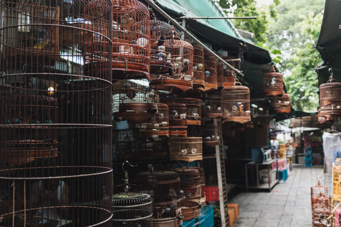 Yuen Po Street Bird Garden and Market - Hong Kong - Fuji X100F