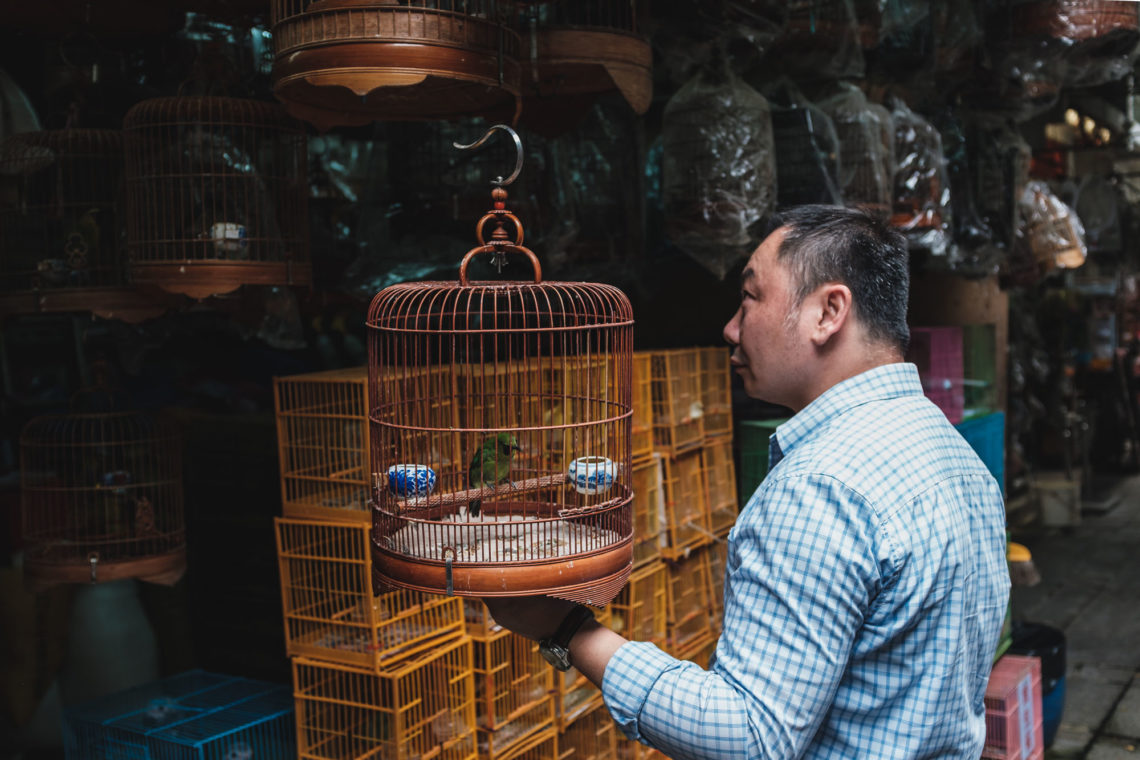 Yuen Po Street Bird Garden and Market Patron - Hong Kong - Fuji X100F