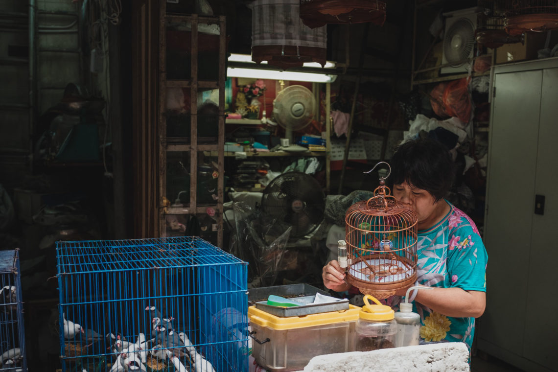 Yuen Po Street Bird Garden and Market Vendor I - Hong Kong - Fuji X100F