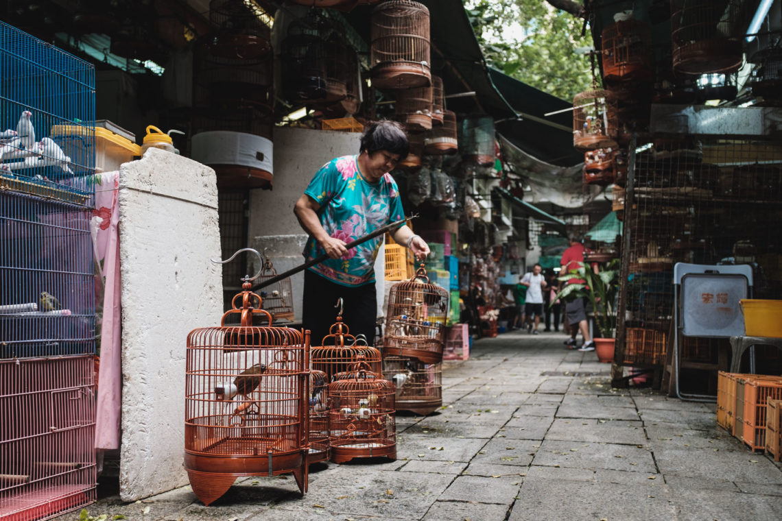 Yuen Po Street Bird Garden and Market Vendor III - Hong Kong - Fuji X100F
