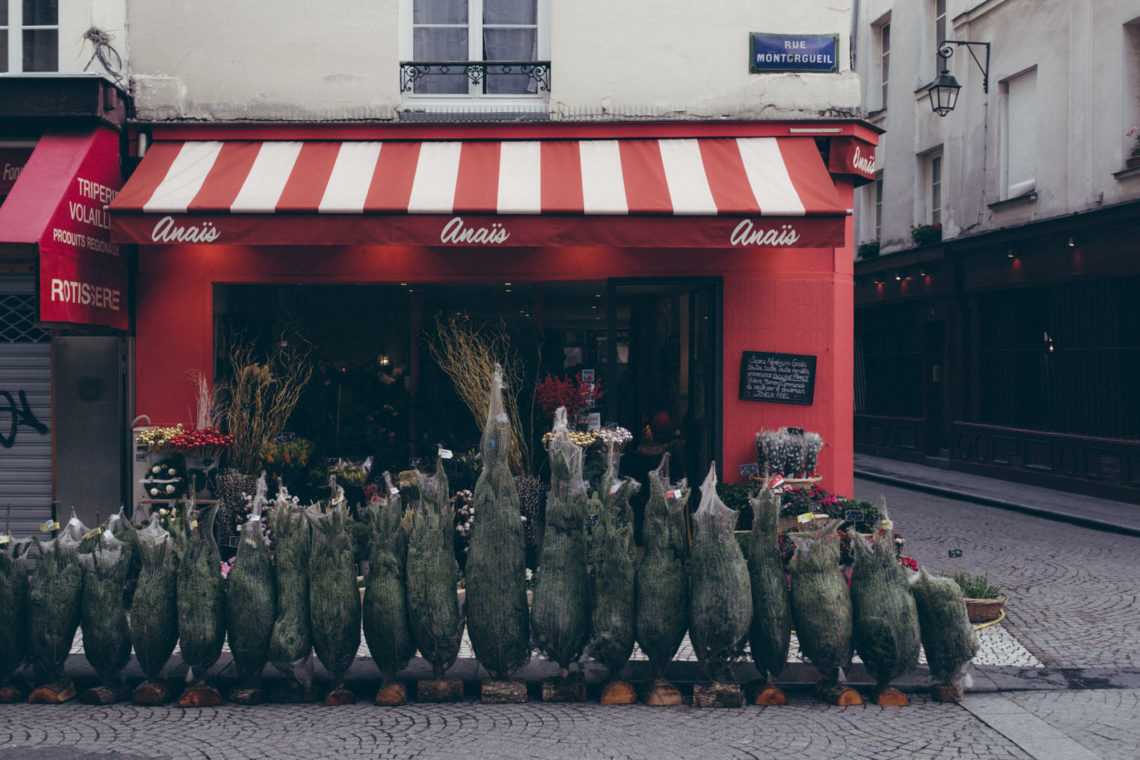 Anaïs - Paris, France - Fuji X100F