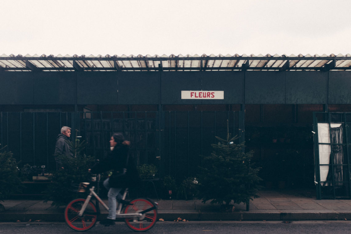 Fleurs - Paris, France - Fuji X100F