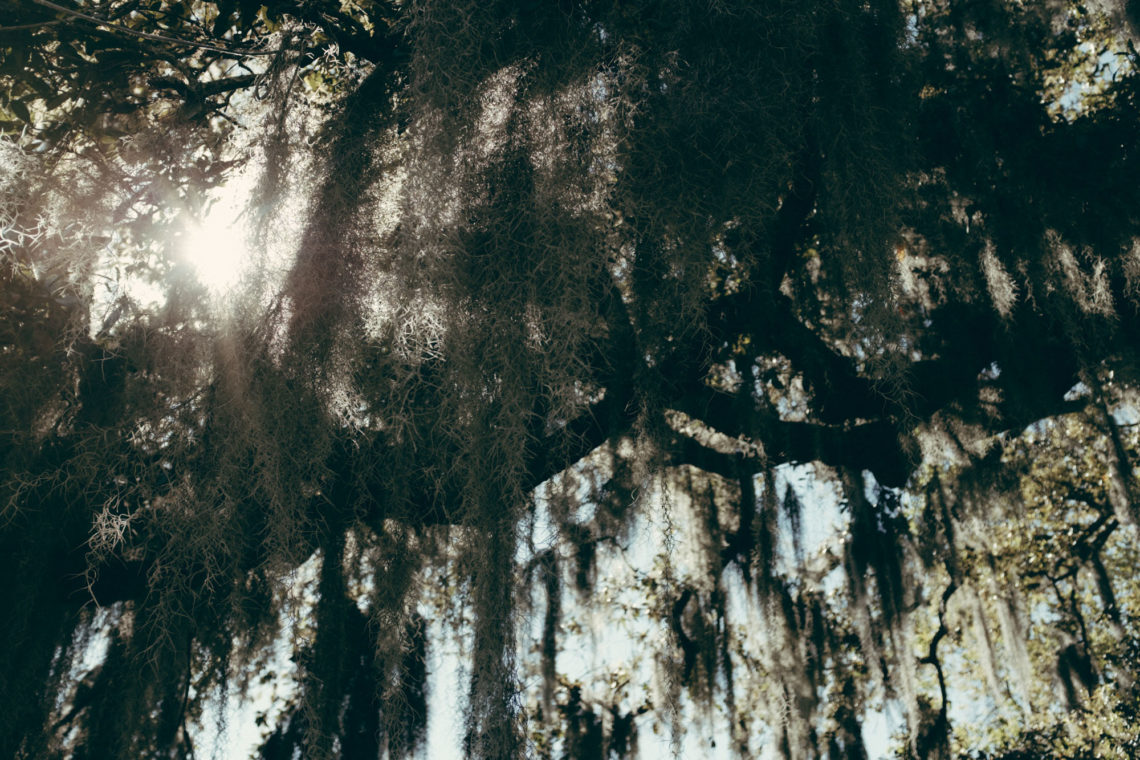 City Park - New Orleans, Louisiana - Fuji X100F