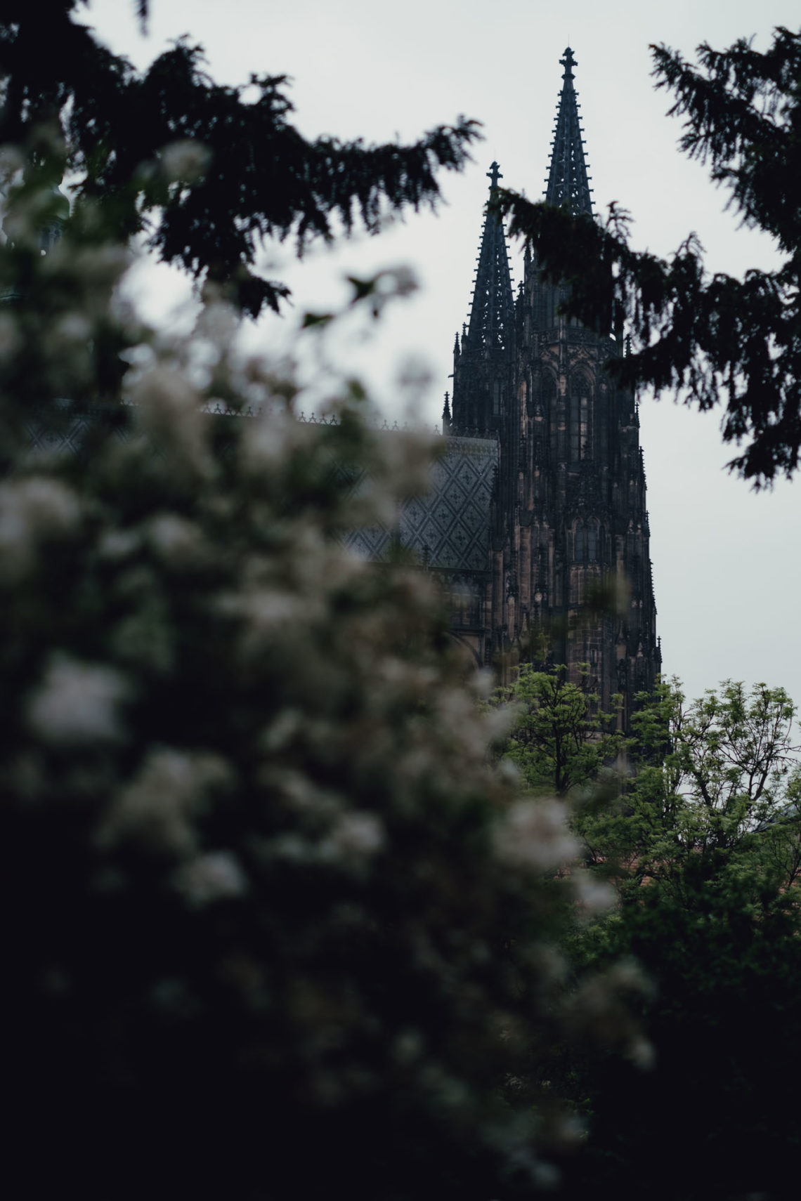 St. Vitus Cathedral - Prague, Czech Republic - Fuji X-T3