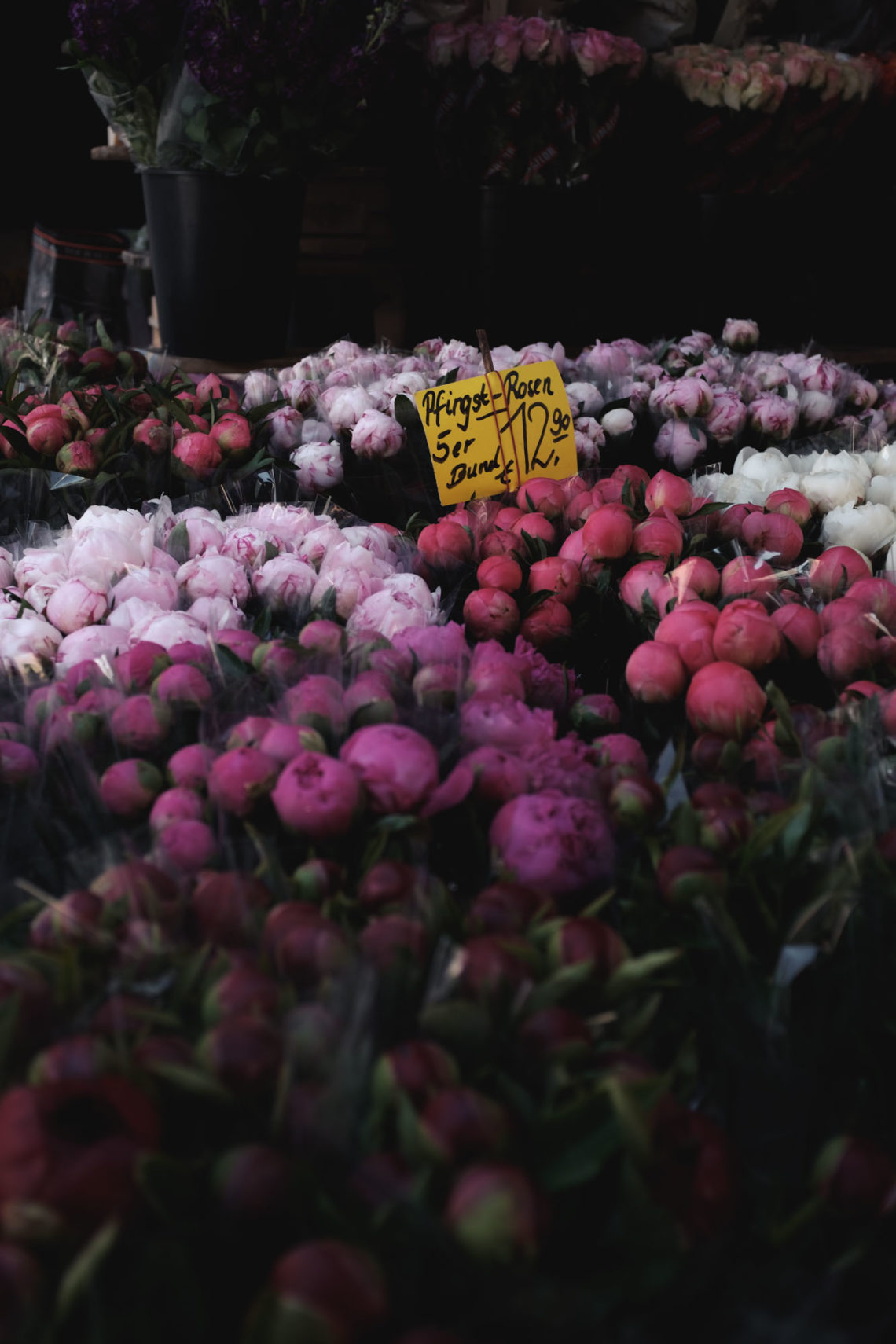 Pfingst – Rosen - Munich, Germany - Fuji X100F