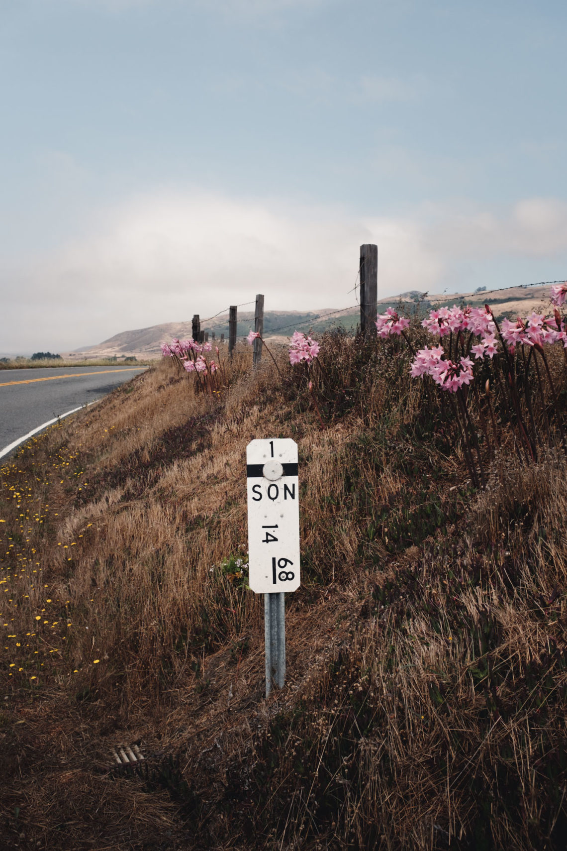 Pacific Coast Highway II - Bodega Bay, California - Fuji X100F