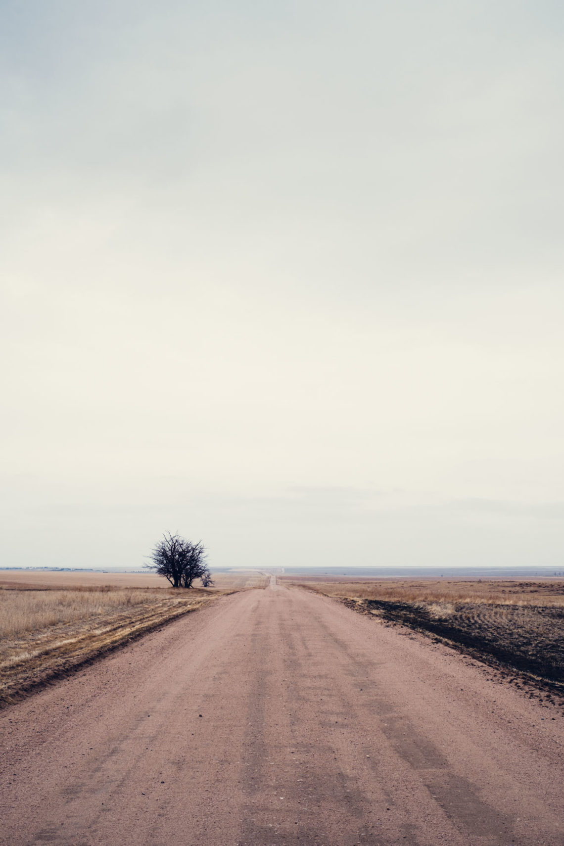 County Road S - Lindon, Colorado - Fuji X-T3