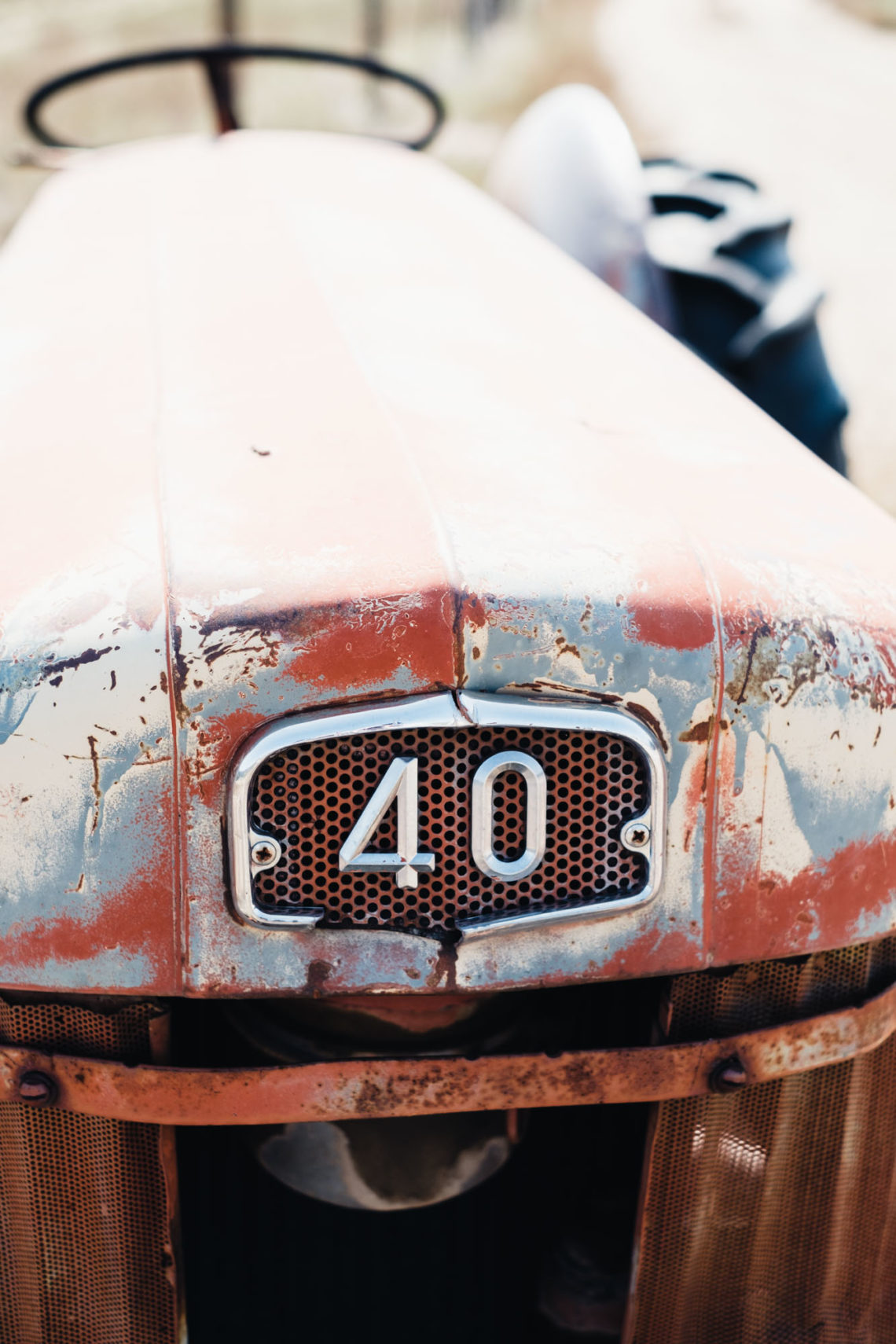 Textures Found on a Mountain Highway - Somewhere Along Highway 285 - Fuji X-T3