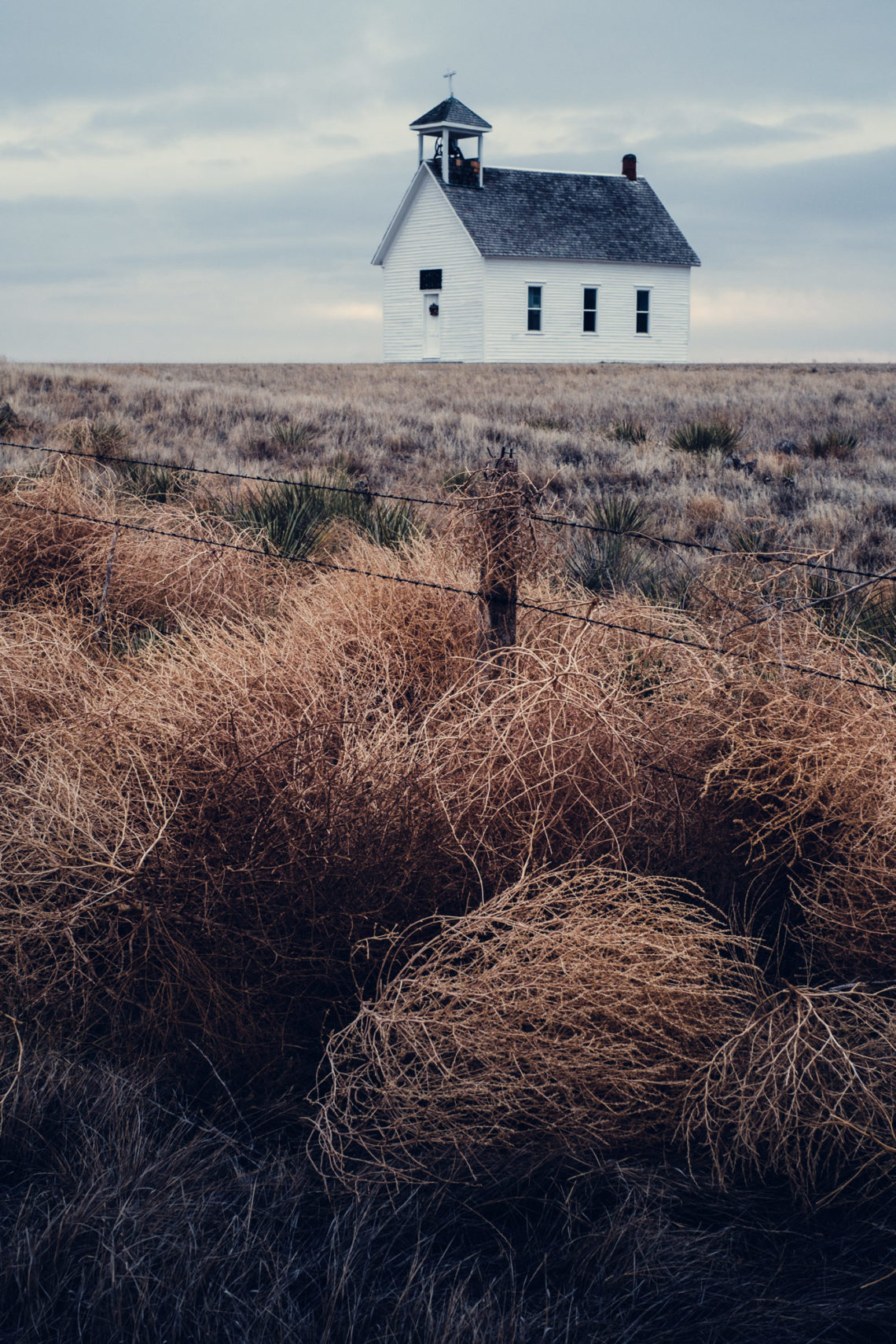 Tumbleweed Barrier - Lindon, Colorado - Fuji X-T3